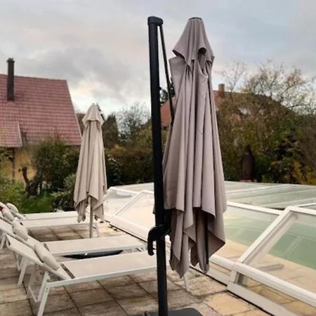 Soh Rent Villa Piscine Proche Strasbourg Tv - Wifi - Parking Lampertheim Luaran gambar